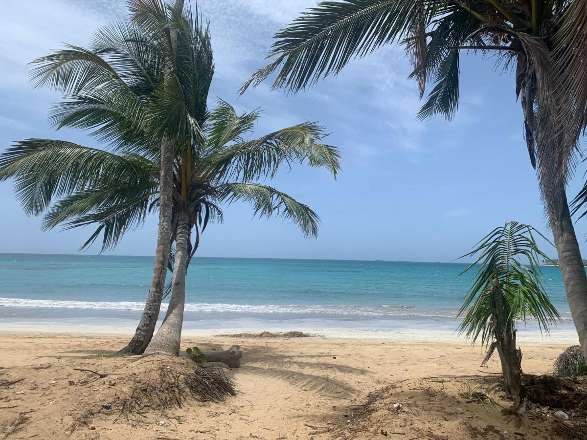 Caribbean Domicile Apartment Las Terrenas Exterior foto